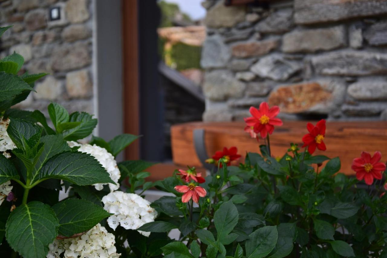 Villa La Volta - Molino Maufet Mühle - Patio on the garden Colico Esterno foto
